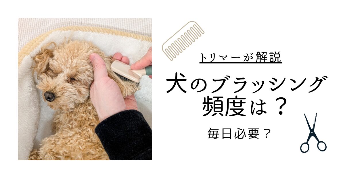 犬のブラッシング頻度についての解説するアイキャッチ画像